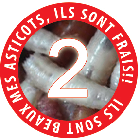 8 choses a savoir: 2