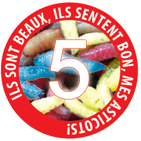 8 incontournables sur les asticots